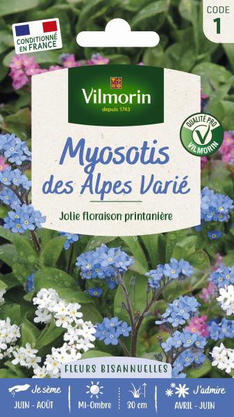 Fleurs - Myosotis des Alpes Varié - PACKAGING_RECTO